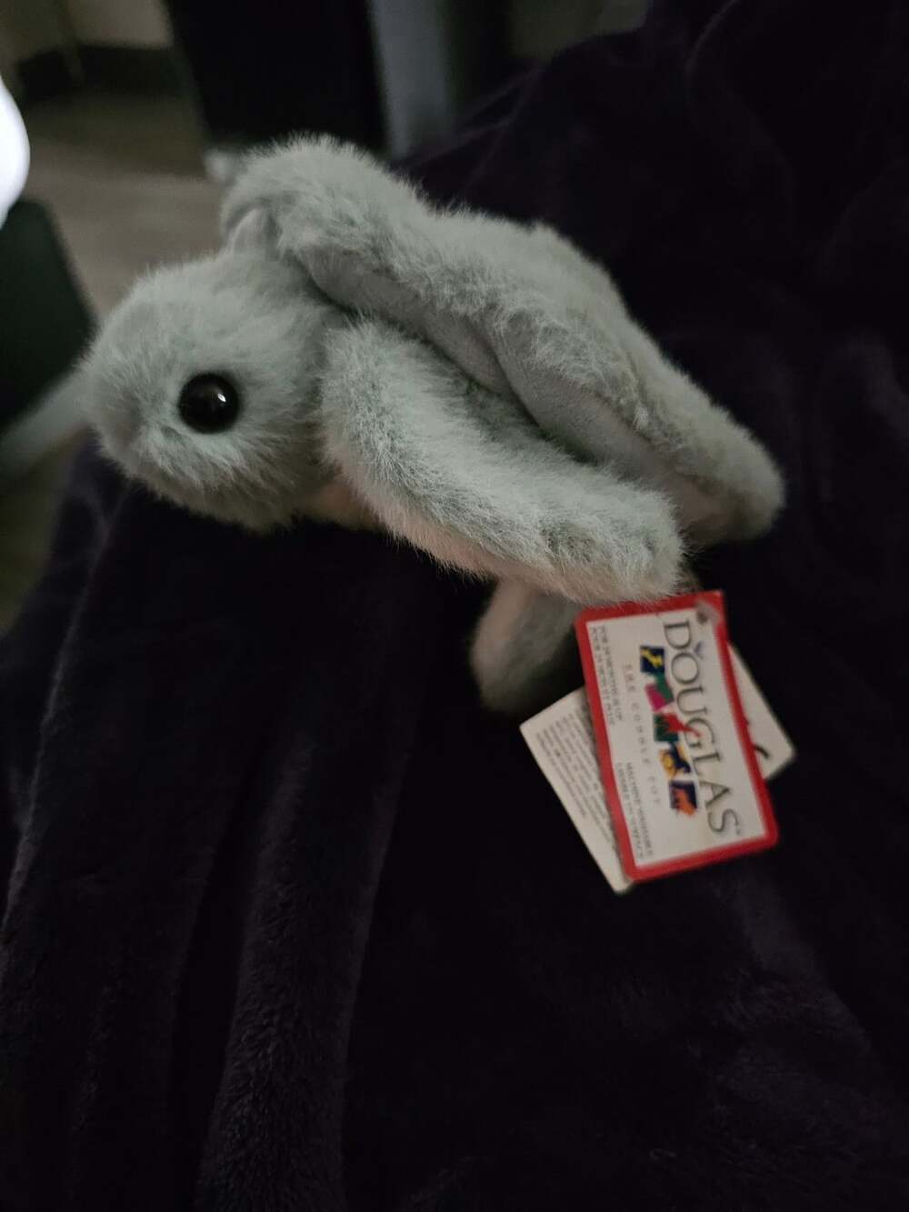 Plush Baby Sea Turtle Douglas with hang tags
